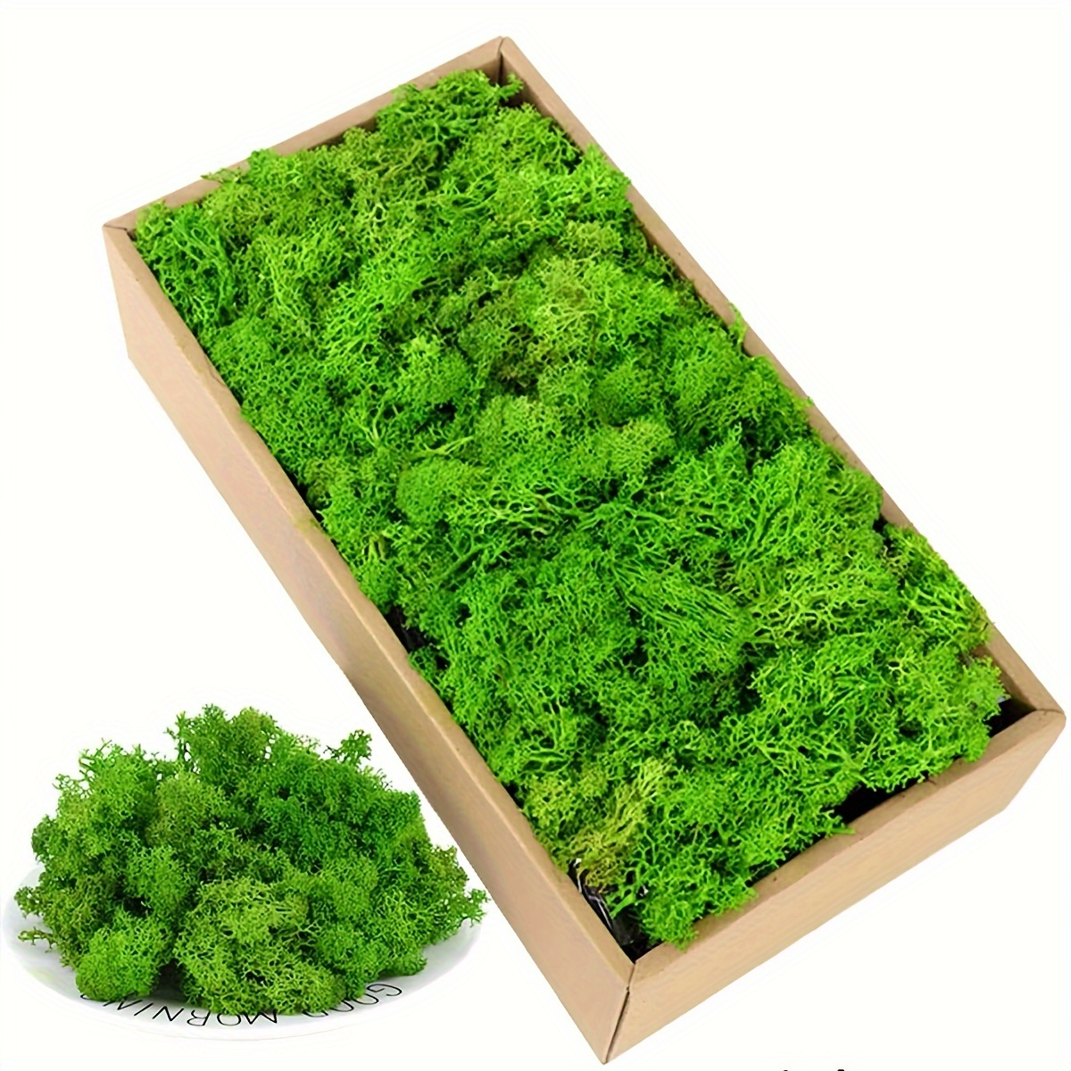200g/Bag Keep Dry Real Green Moss Decorative Plants Vase