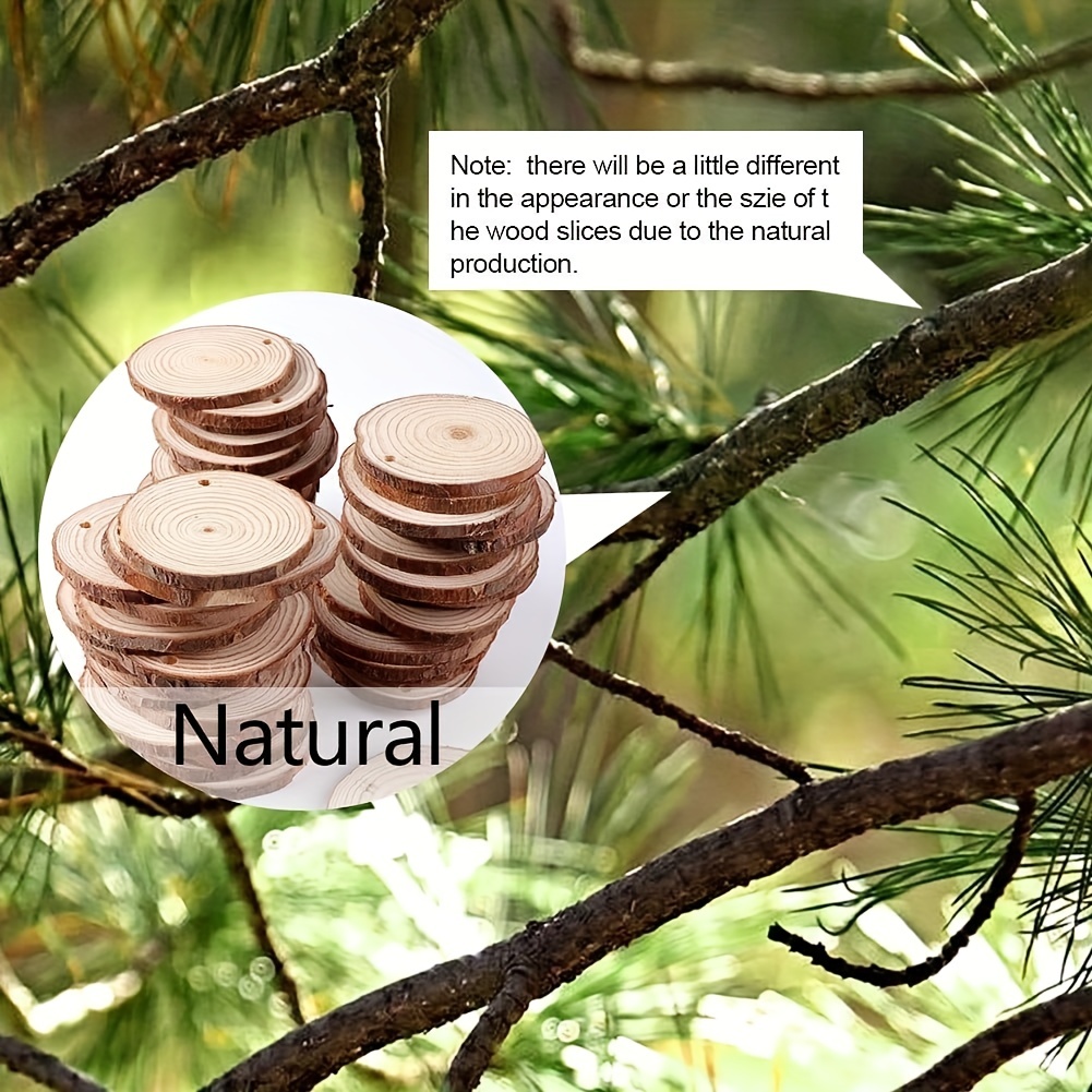 Deago 10 Pcs Natural Wood Slices Set Wood Rounds kit with Hole Wooden  Circles For DIY Arts and Crafts Christmas Party Ornaments (2-2.5inch) 