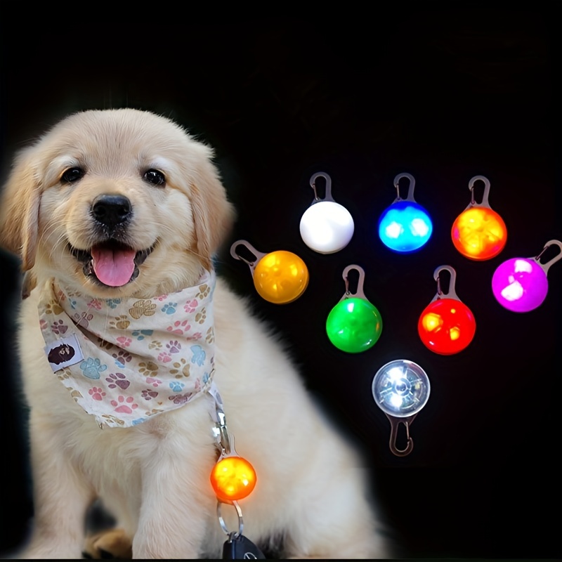 Luz para collar de perro, 4 modos, luces recargables para perro para  caminar por la noche, luz impermeable IP68 para perro, luz pequeña y ligera  para
