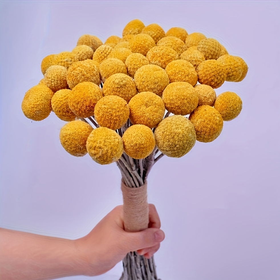 5 Paquetes De Mini Ramilletes De Flores Secas Múltiples - Temu