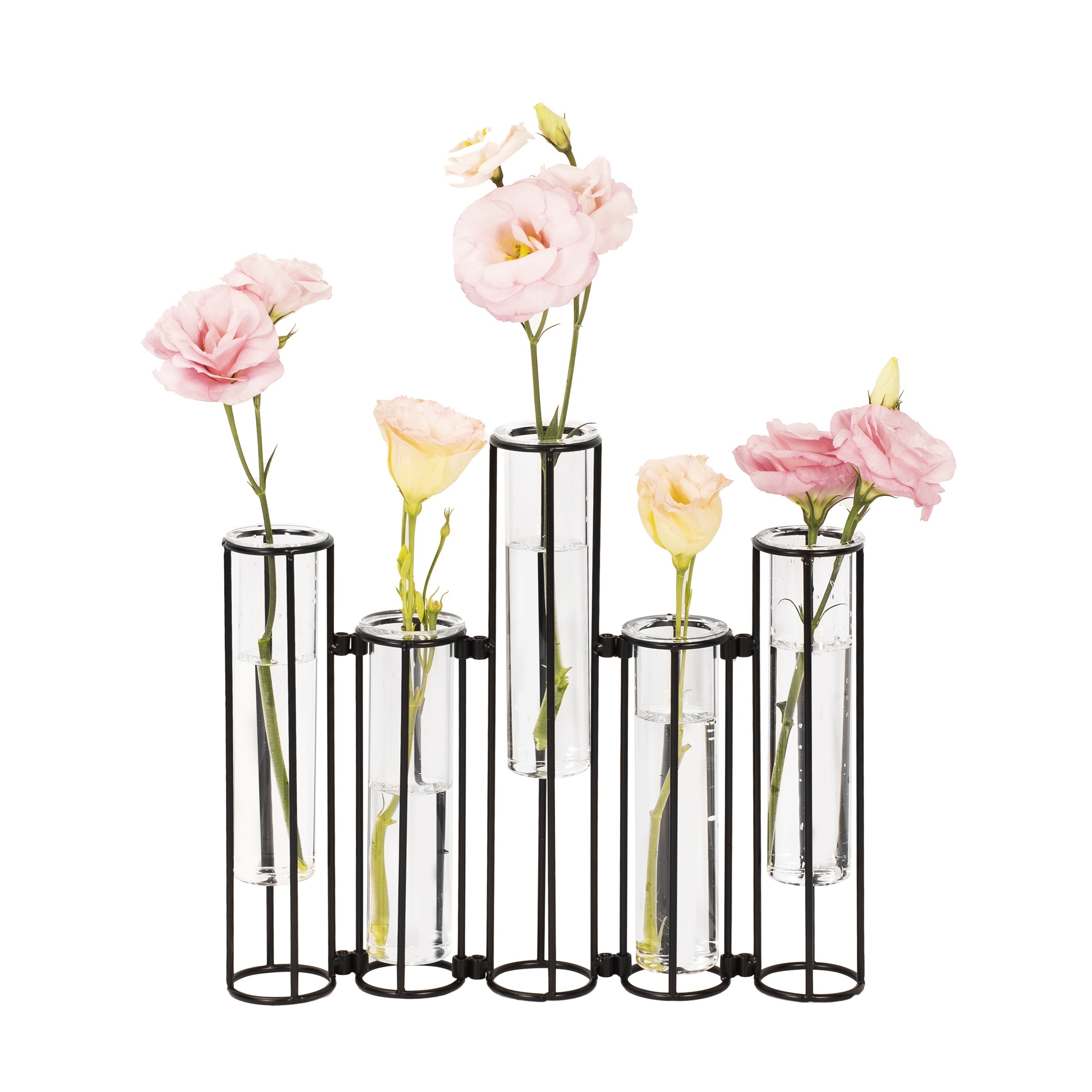 Hinged Flower Vase Test Tube, 8pcs Test Tubes Flower Vases Plant Display  Holder, Table Centerpieces Vase With Brush