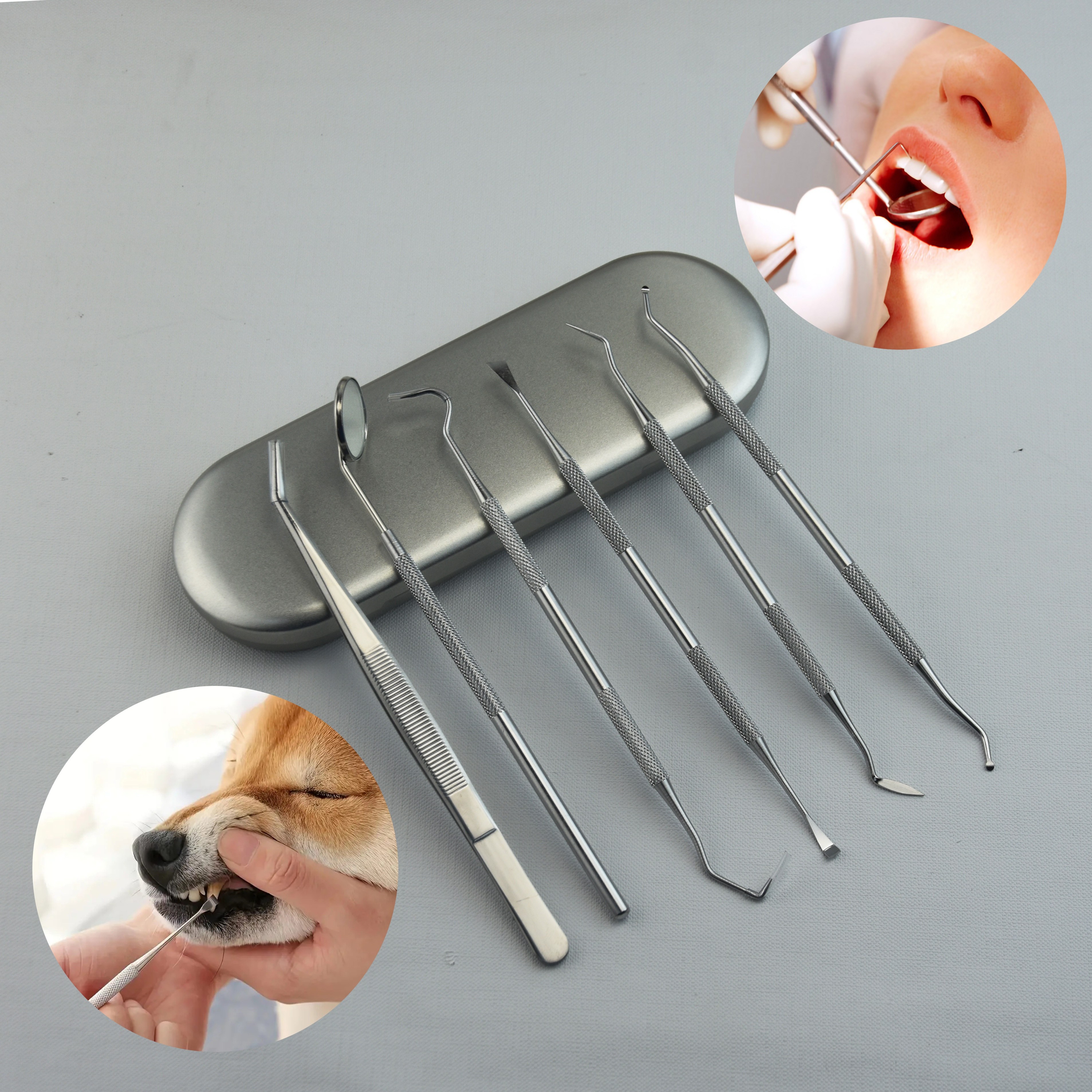 Dentalwerkzeuge 5er-Pack-Zahnreinigungswerkzeug-Kit Zahnarzt-Werkzeug-Kit  mit Edelstahl-Dentalspiegel