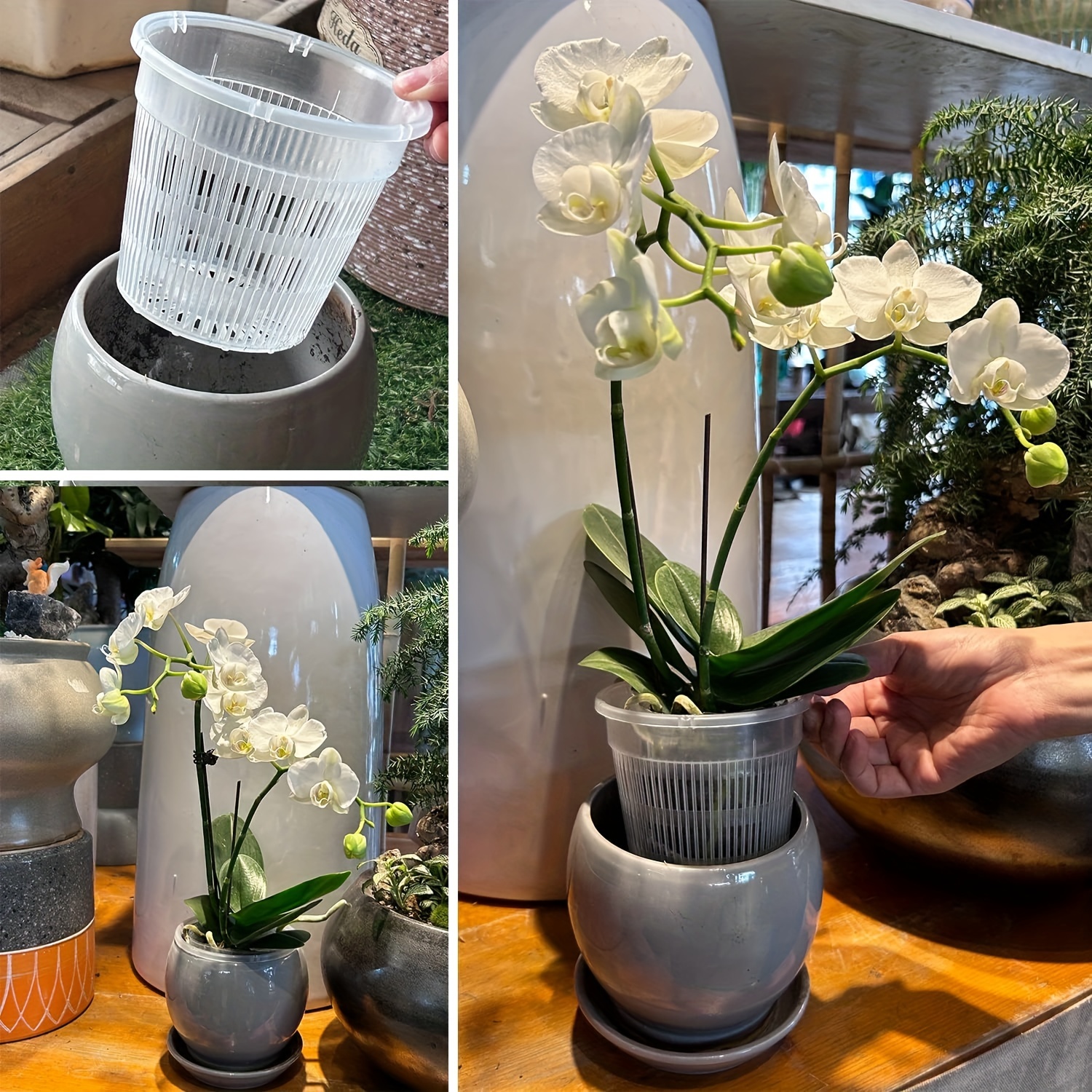 Clear Plant Pots : Glass Flower Pot