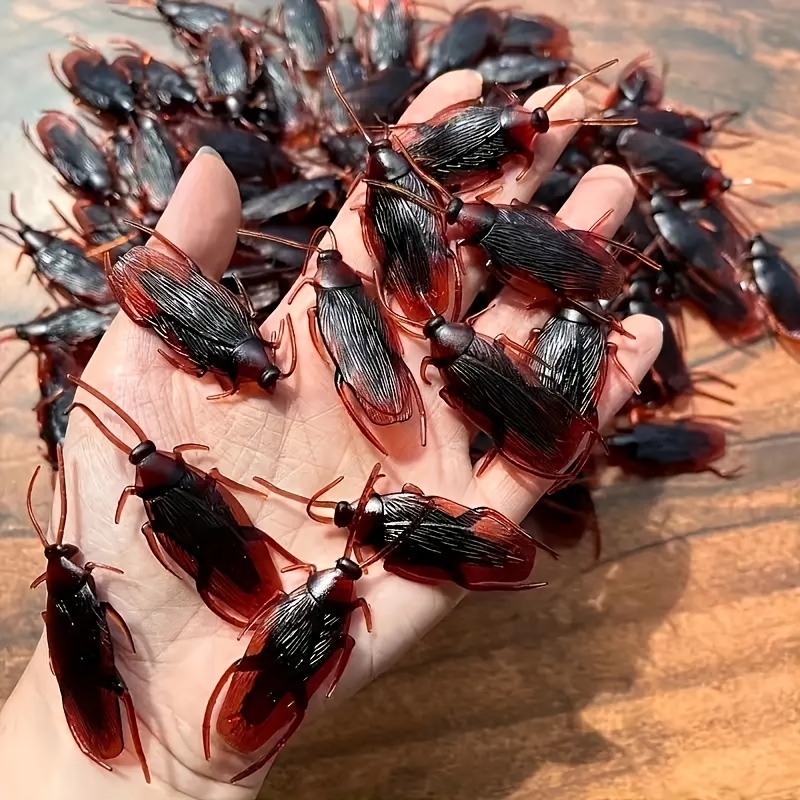 5 Piezas, Divertida Cucaracha Simulada Falsa, Novedad Cucarachas Insectos  Realistas Simulación De Broma Complicado Asqueroso Juguete De Parodia  Aterradora, Regalos De Fiesta, Regalos De Vacaciones, Suministros De Fiesta  De Halloween