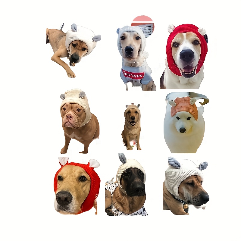 Supreme best sale dog hat