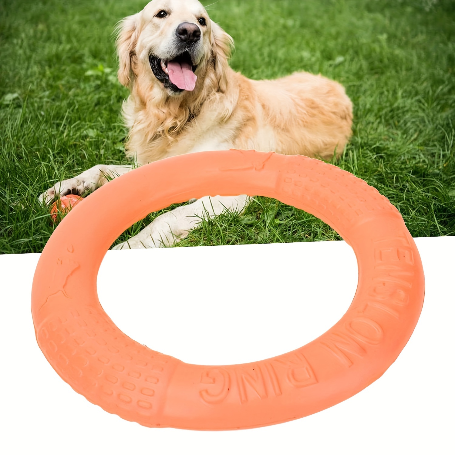 Dog Training Toys Outdoor Floating Flying Dog Disc - Temu