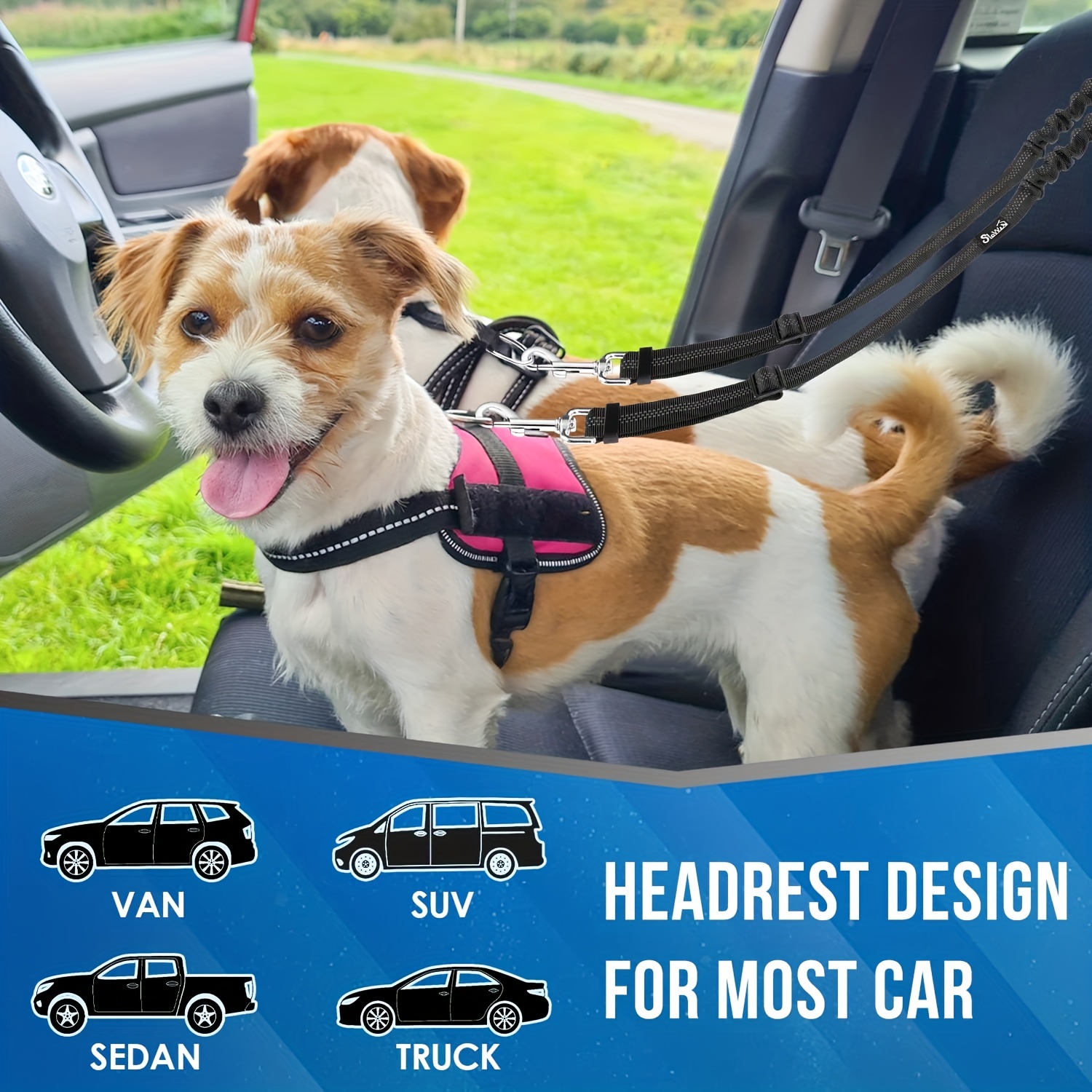 Cinturón de seguridad para perros de coche [paquete de 2] Arnés de  seguridad ajustable para perros d Ofspeizc LN-0822