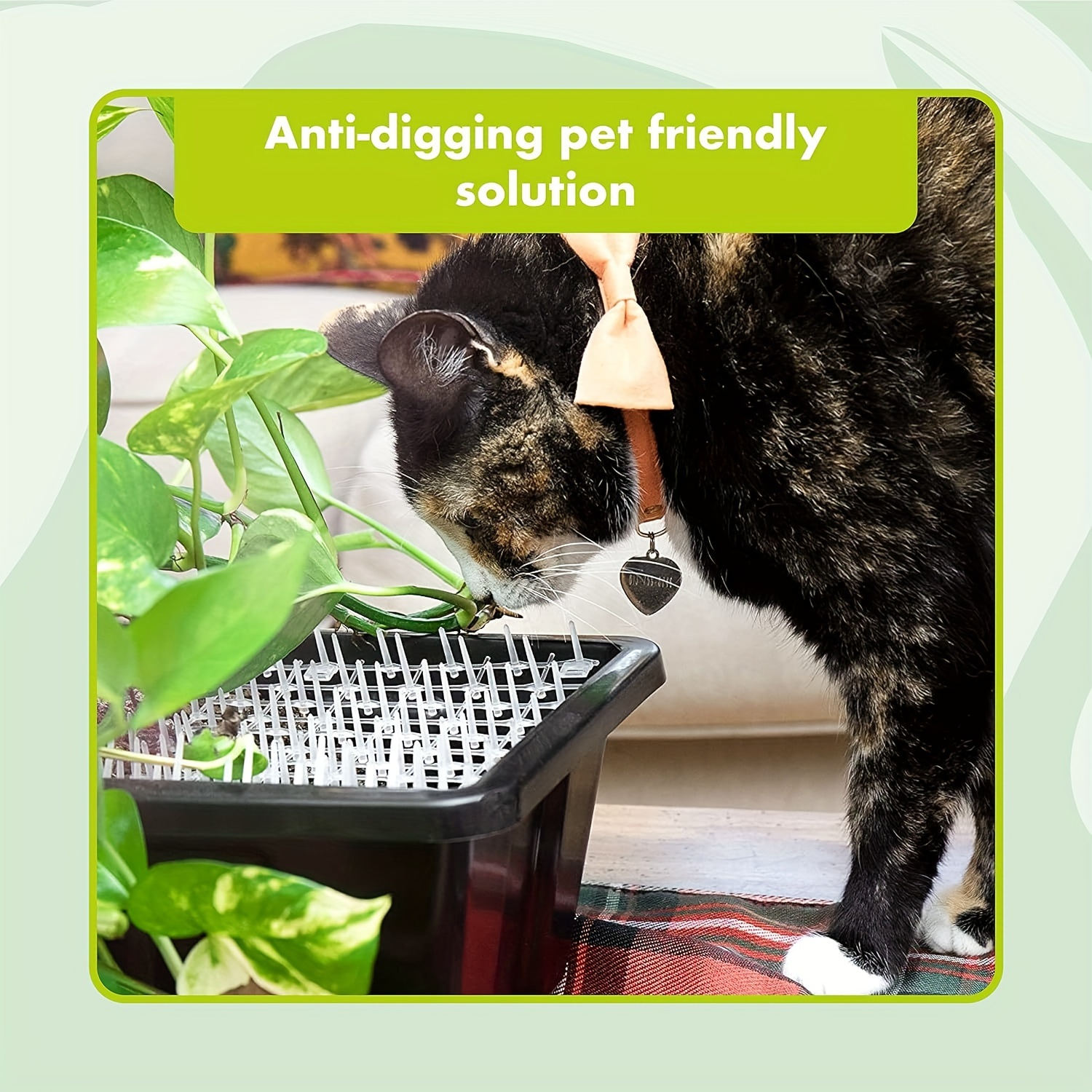 Cat repellent indoor best sale