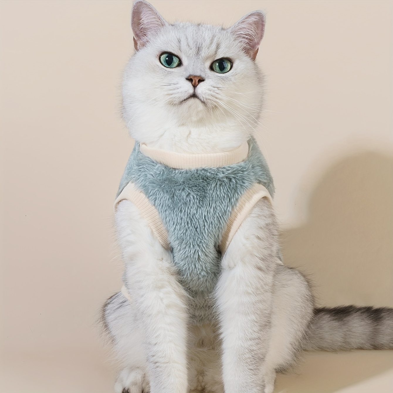 Cat sweater outlet vest