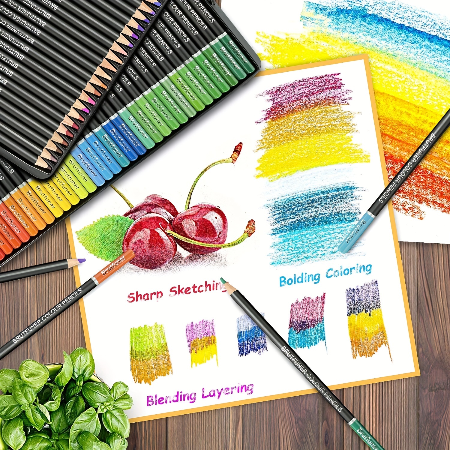 Colored Pencils with Storage Box, Assorted Colors, Professional Art  Colouring Pencils for Kids Adults Drawing Sketching - 