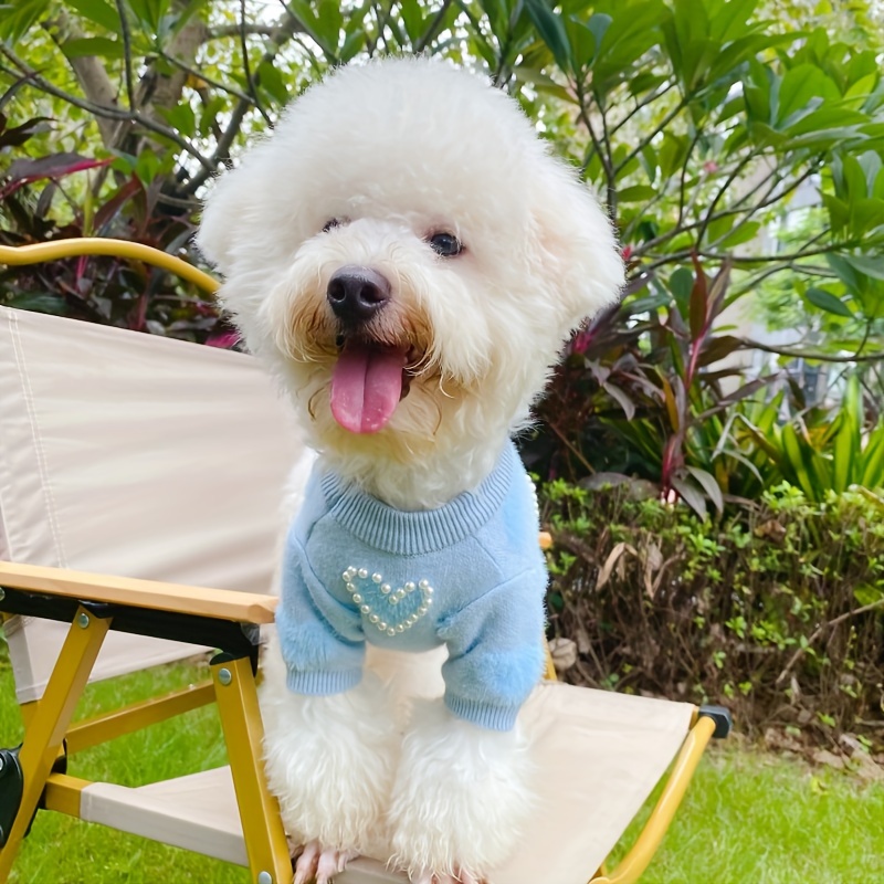 Cute Pearl Core Graphic Pet Sweater,warm Pet Clothes For Dogs