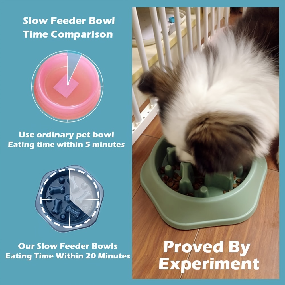 Slow Feeder Cat Bowls,Raised Cat Bowl Fun Pet Feeder Bowl Stopper