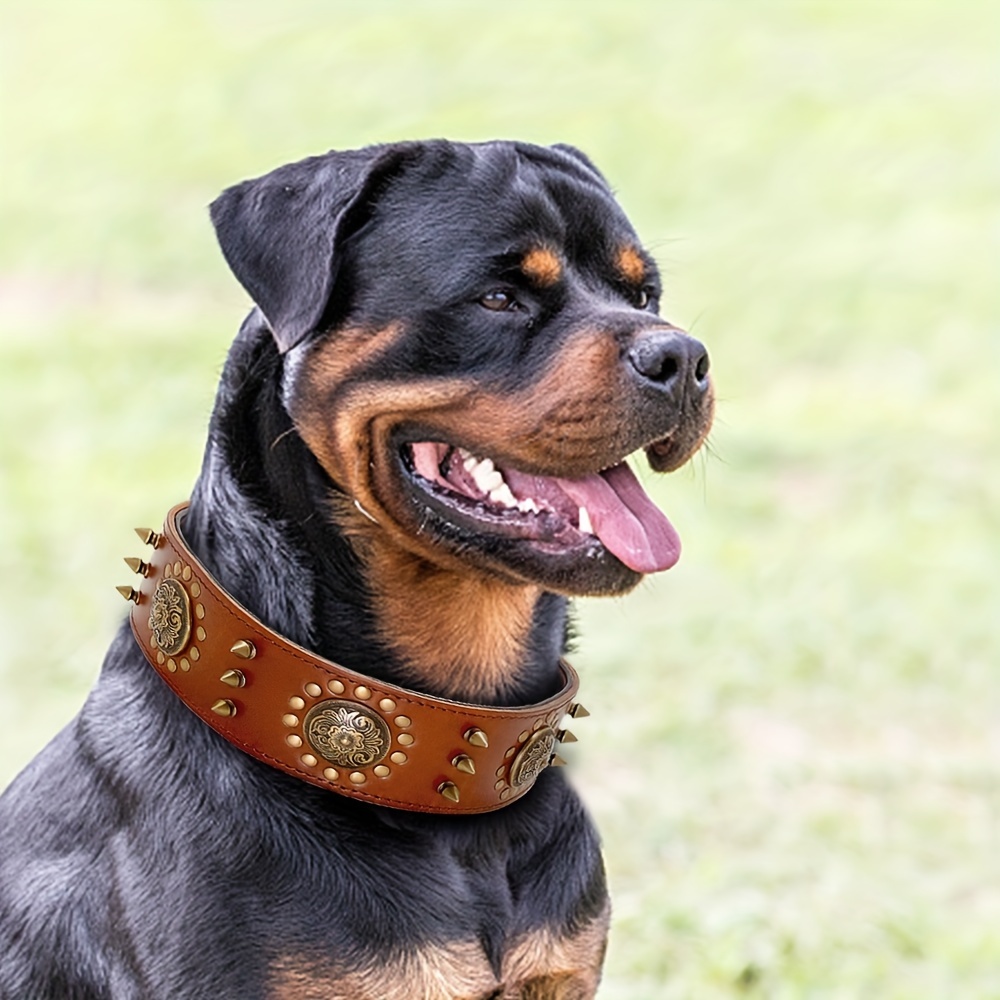 HACRAHO Collier pour chien, 1 pièce formel réglable pour chien