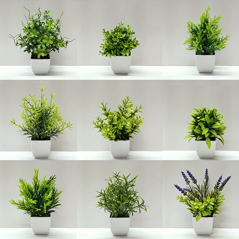 1 Set De 6 Pièces Petites Plantes Faux Dans Des Pots Blancs - Temu