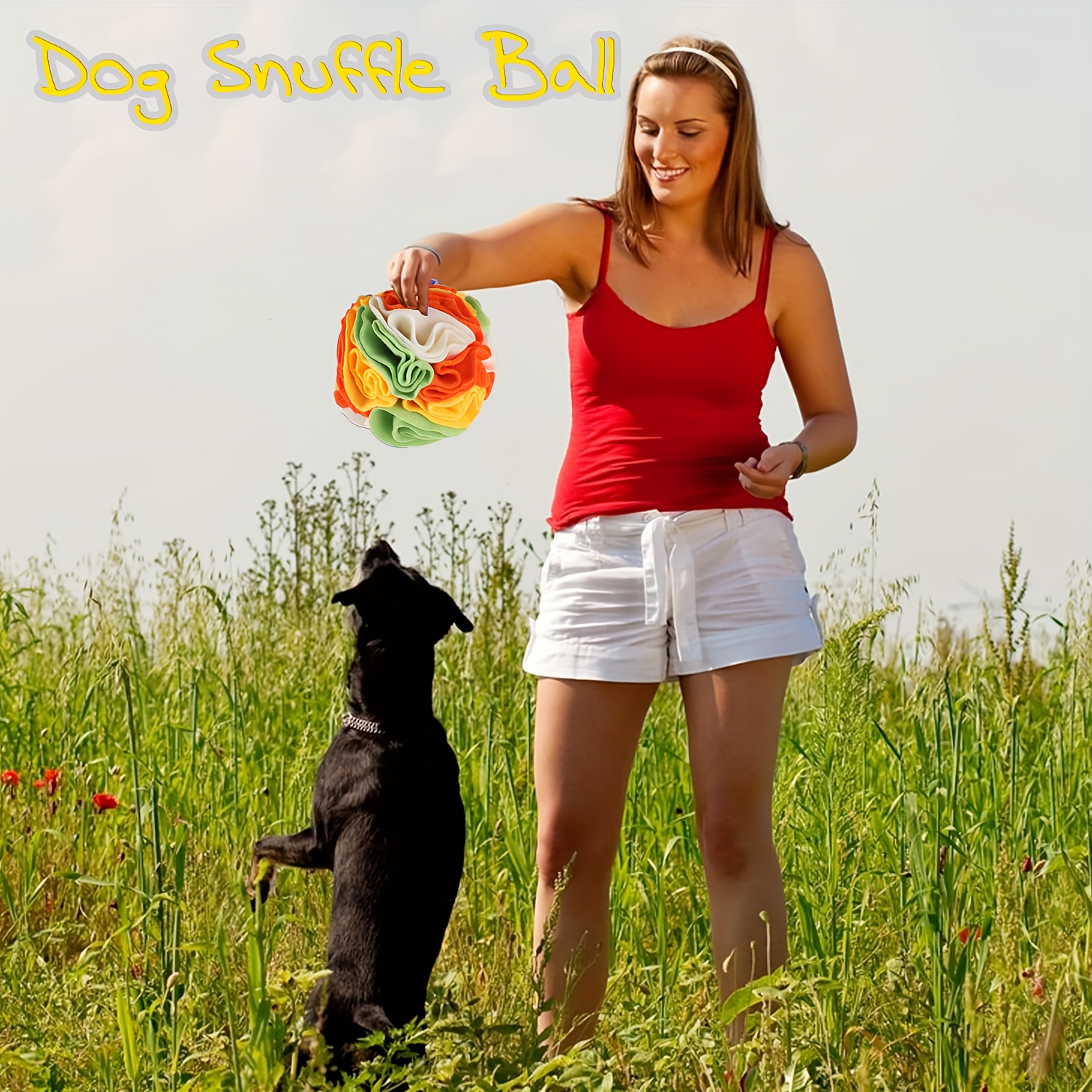 Interactive Dog Snuffle Ball Toy For Small And Large - Temu