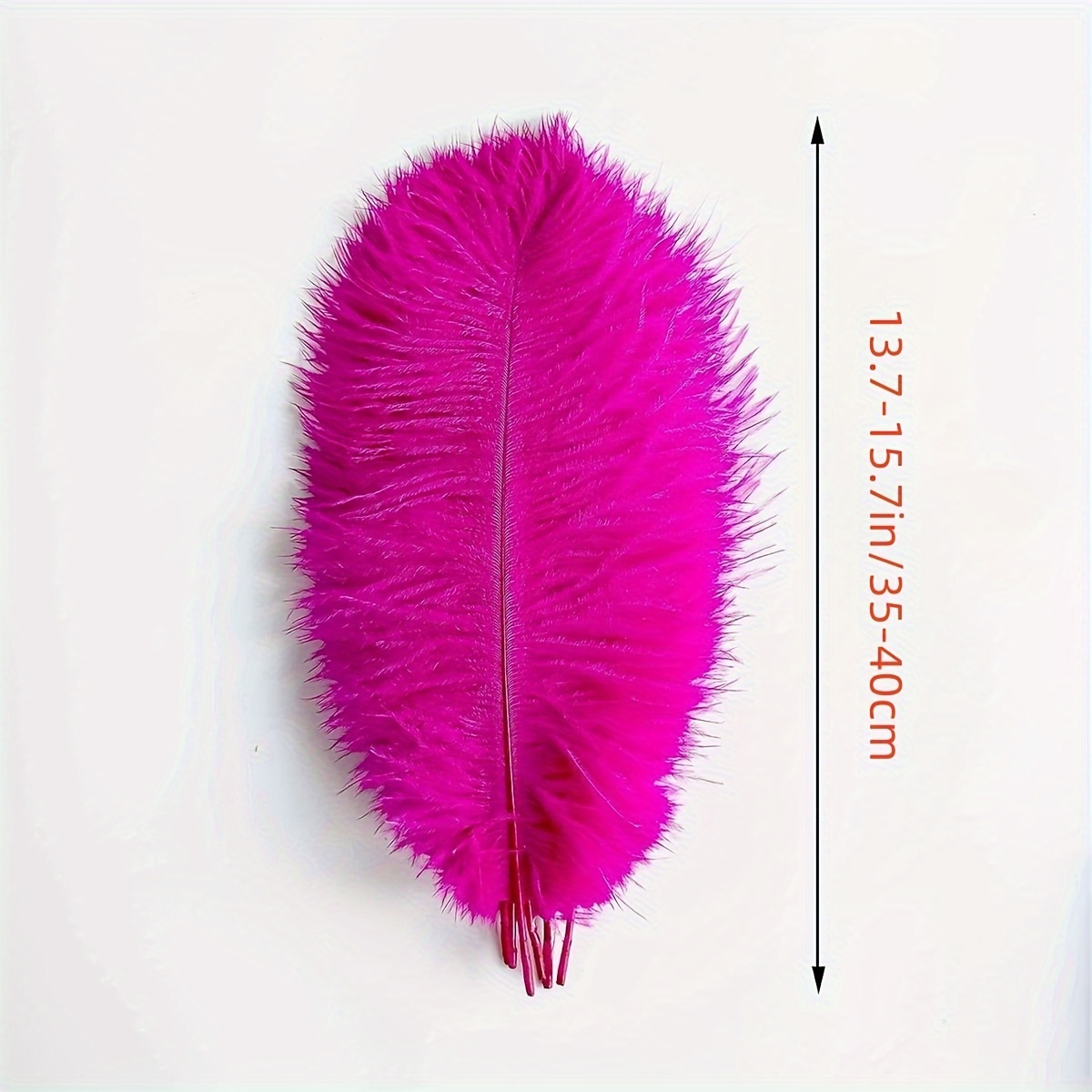 Natural Ostrich Feathers / Bulk For Diy Halloween - Temu