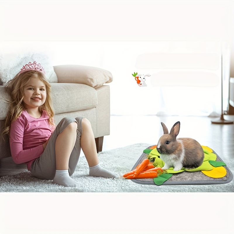 House rabbit outlet toys