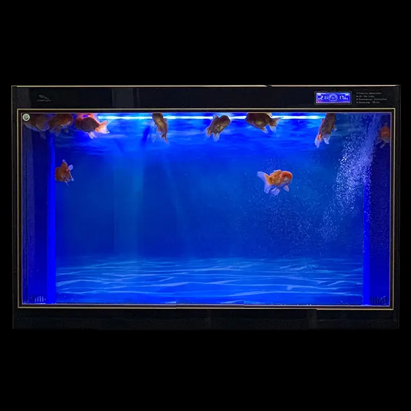 Aquarium Background Blue Black Fish Tank Backdrop Picture 2 - Temu