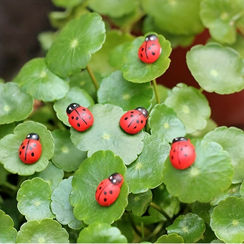 Mini Wooden Ladybug Stickers Perfect For Fairy - Temu