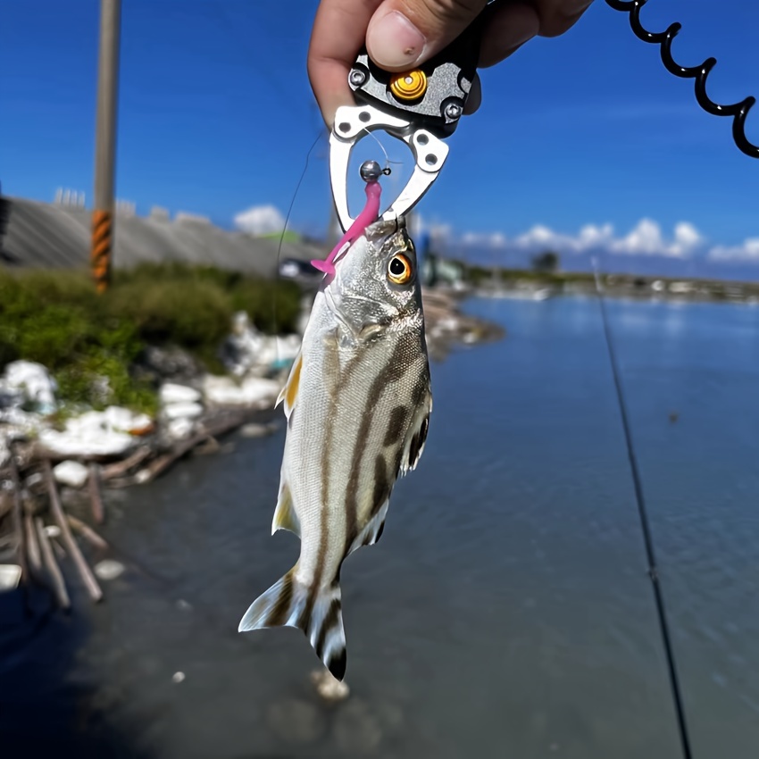 Soft Plastic Lures for Striped Bass Fishing