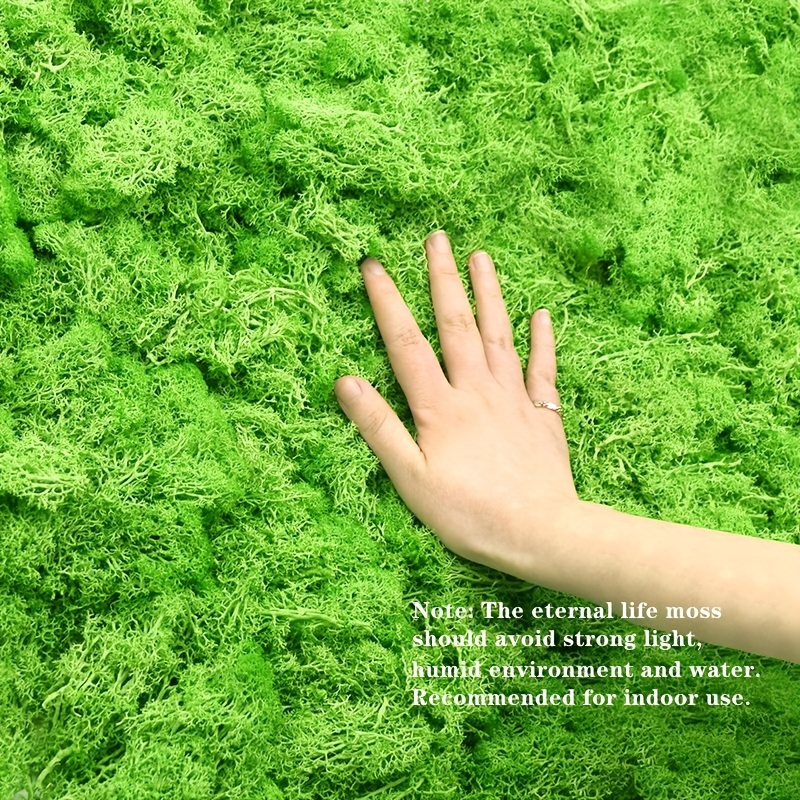 Panel de musgo verde hierbacon mechones verde mayo 114x57cm para murales y  paredes e musgo natural - musgo-natural