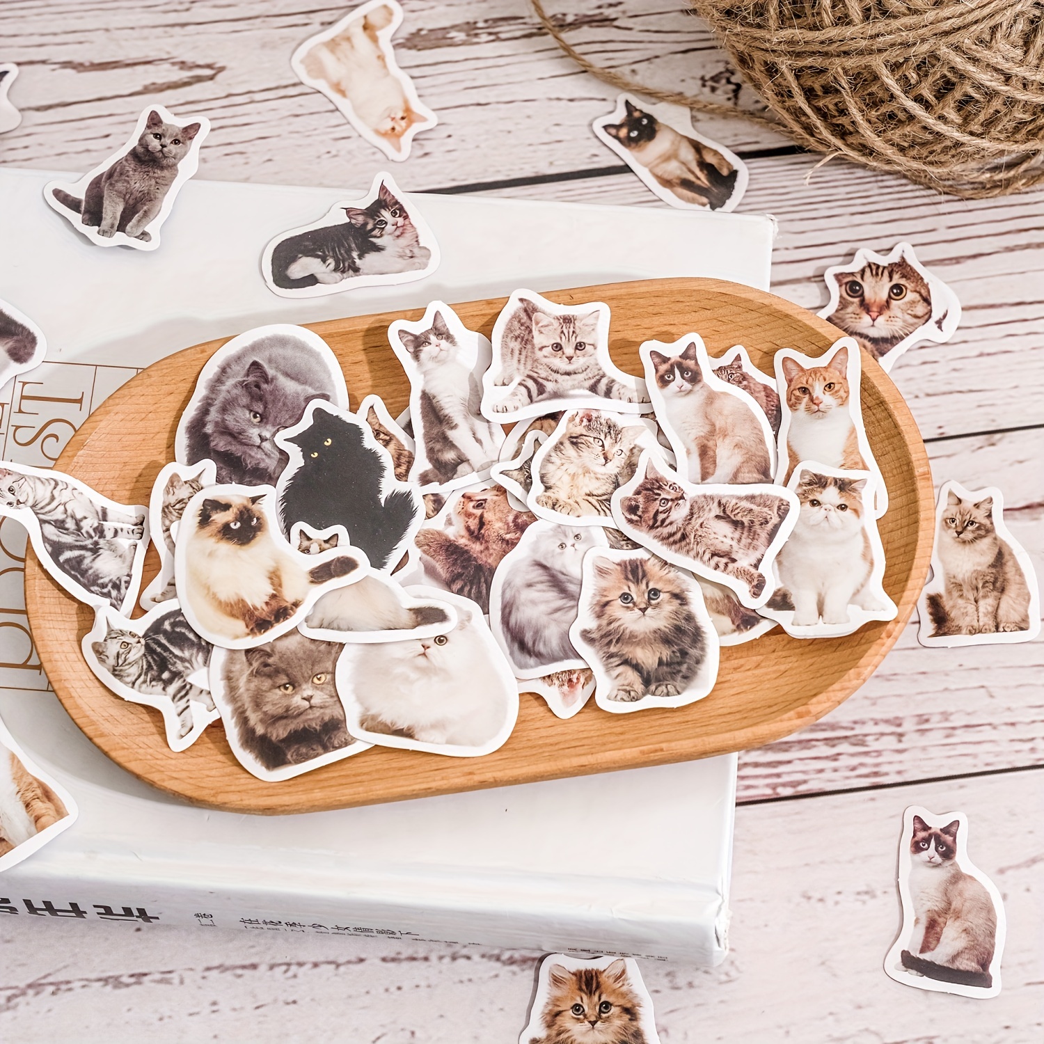 Kawaii Little Black Cat Decorative Boxed Stickers - Temu