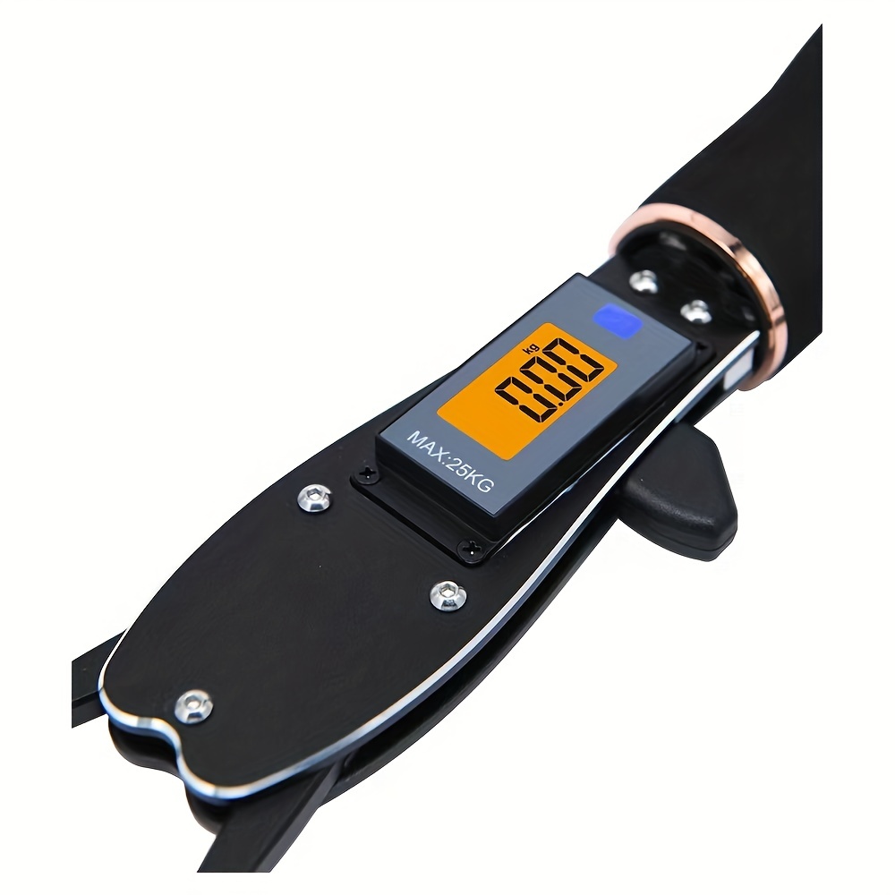 Fish Grabber Clip with Electronic Scale Multifunctional Portable Fish Holder, Size: 26.3 cm, Black