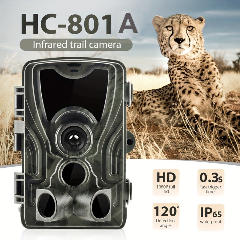 Caméra de chasse, caméra de chasse Hd 2.4 « écran lcd Trail caméra vision  nocturne étanche animal infrarouge caméra extérieure surveillance de la  faune I