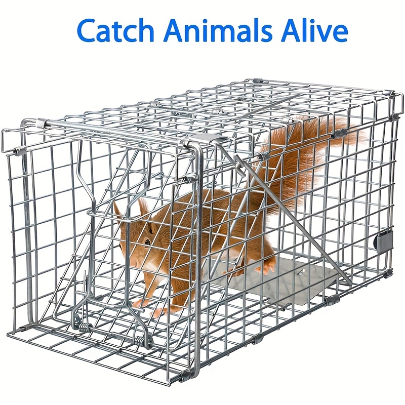 Folding Trap Cage - Live Animal Trap - BirdGard Iberia