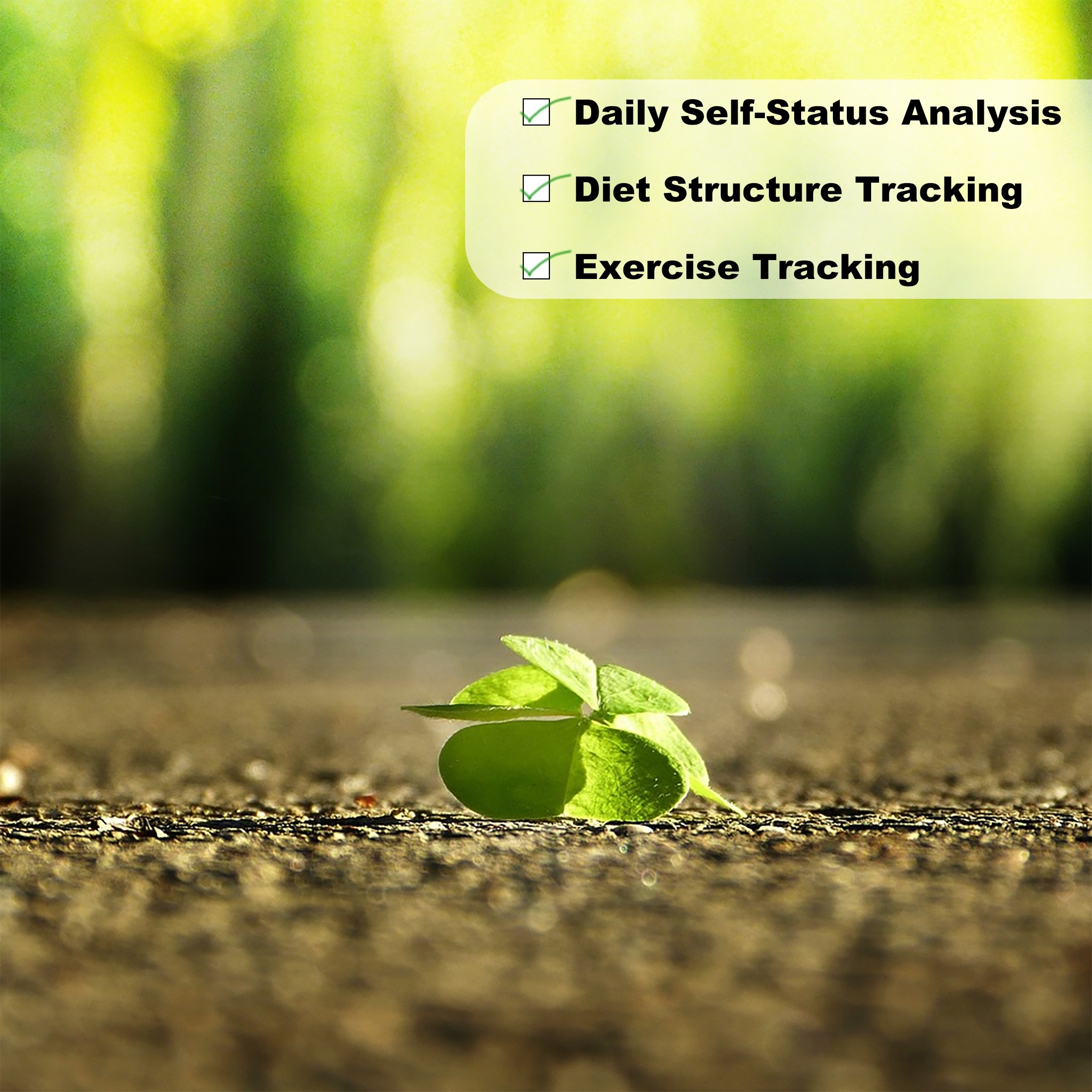 1pc Wellness Planner & Fitness Log - Daily Diet & Health Journal