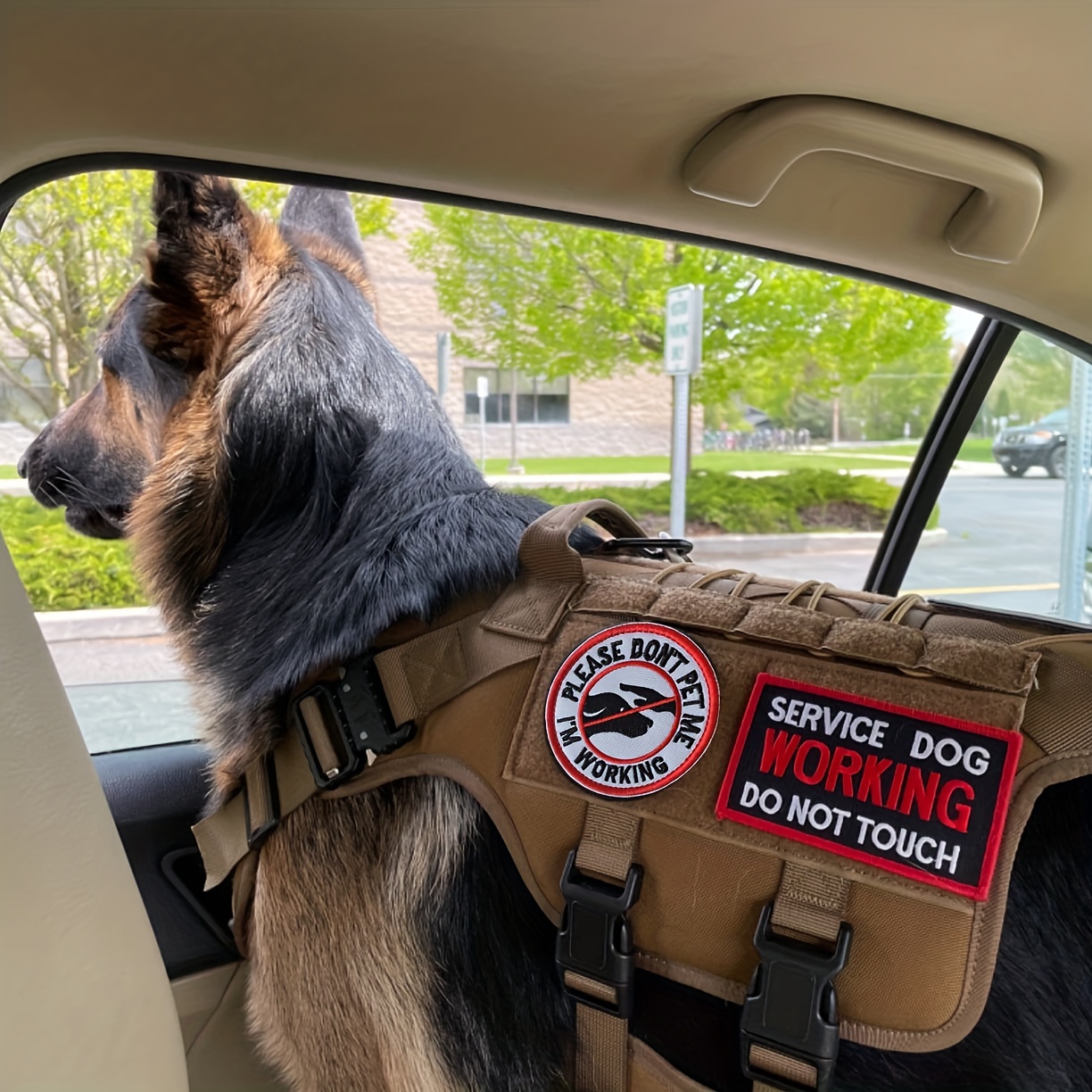 Nervous Dog Patch Ask to Pet Patch Dog Vest Patches Custom Dog