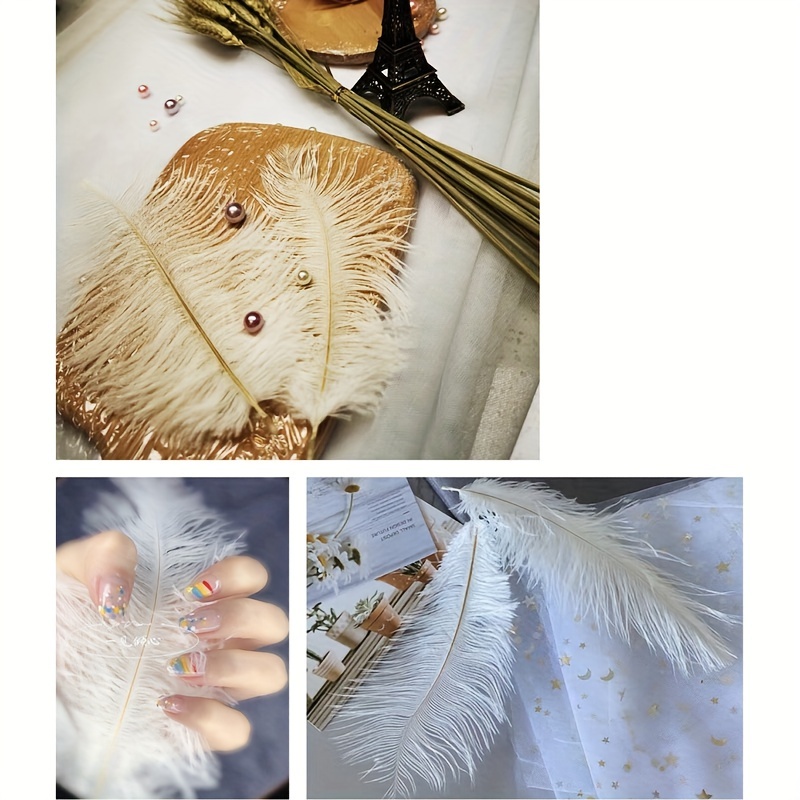 Large Feathers - Temu