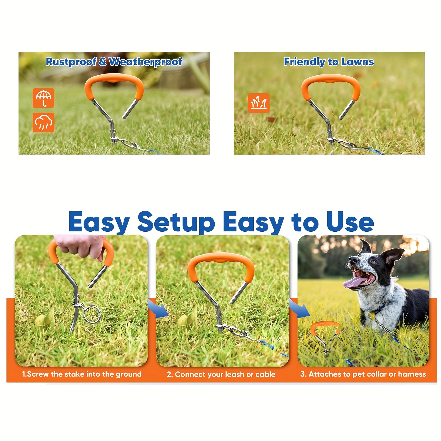 In ground deals dog leash