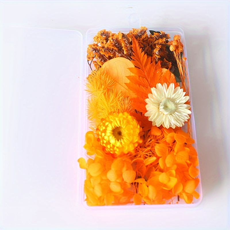 Dried Everlasting Flowers Diy Material Kit Dried Flowers - Temu