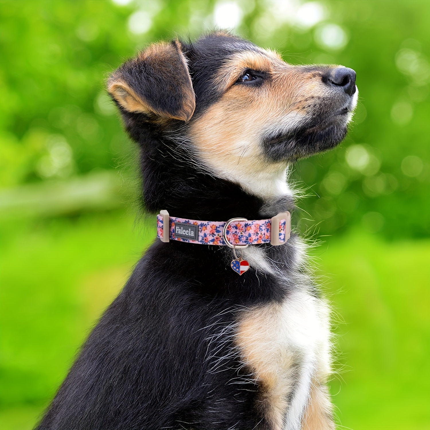 Dog Collar For Small Dogs - Special Design Puppy Collar Cute Small