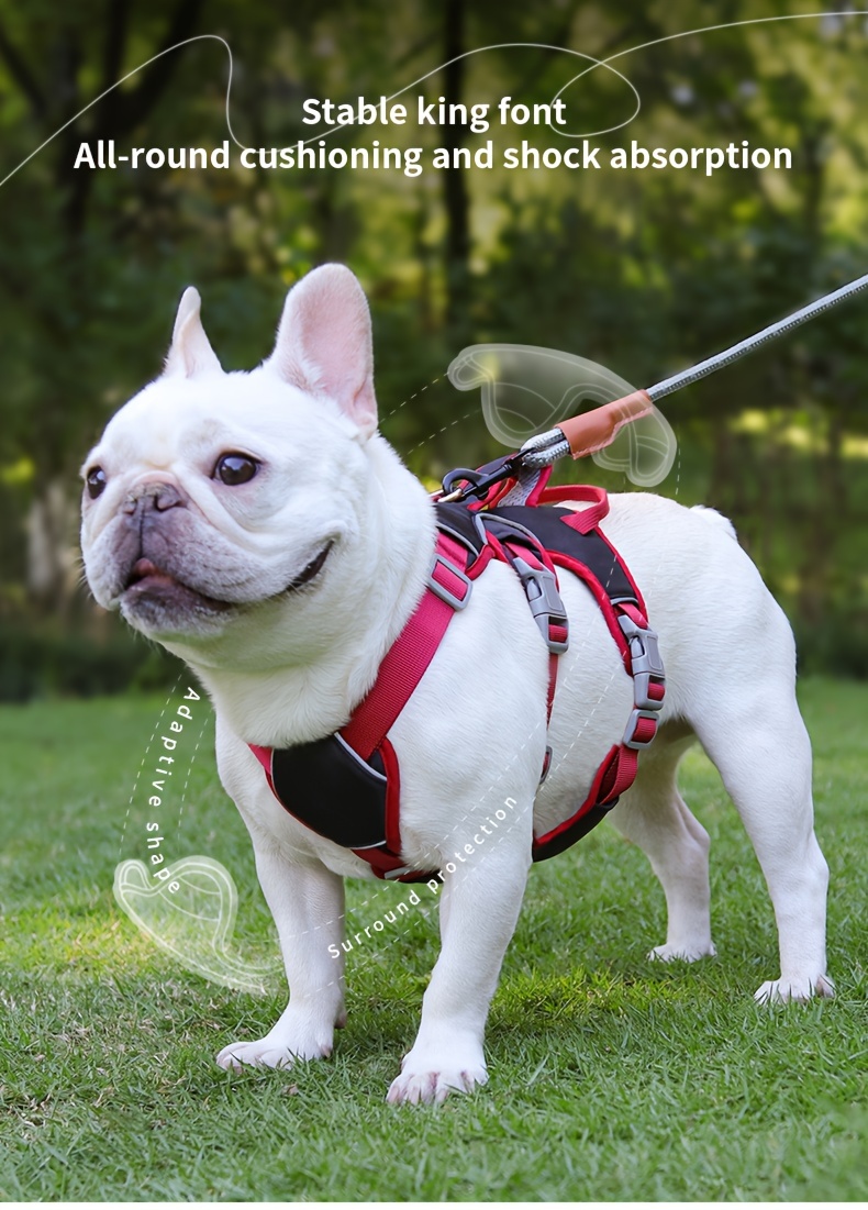 Best Harness For Small Dogs That Pull Back Best Harness For Small