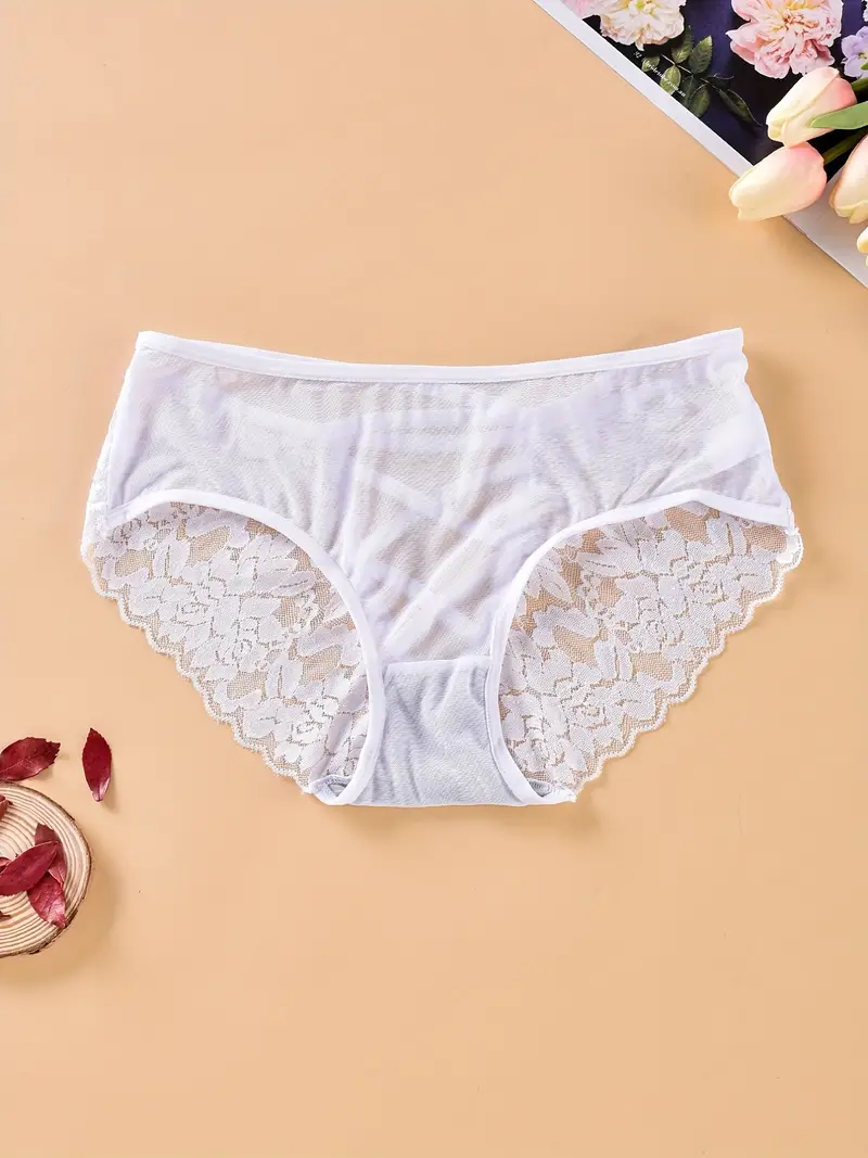 Womens Lace Panties Mesh, Women Mesh Briefs Underwear