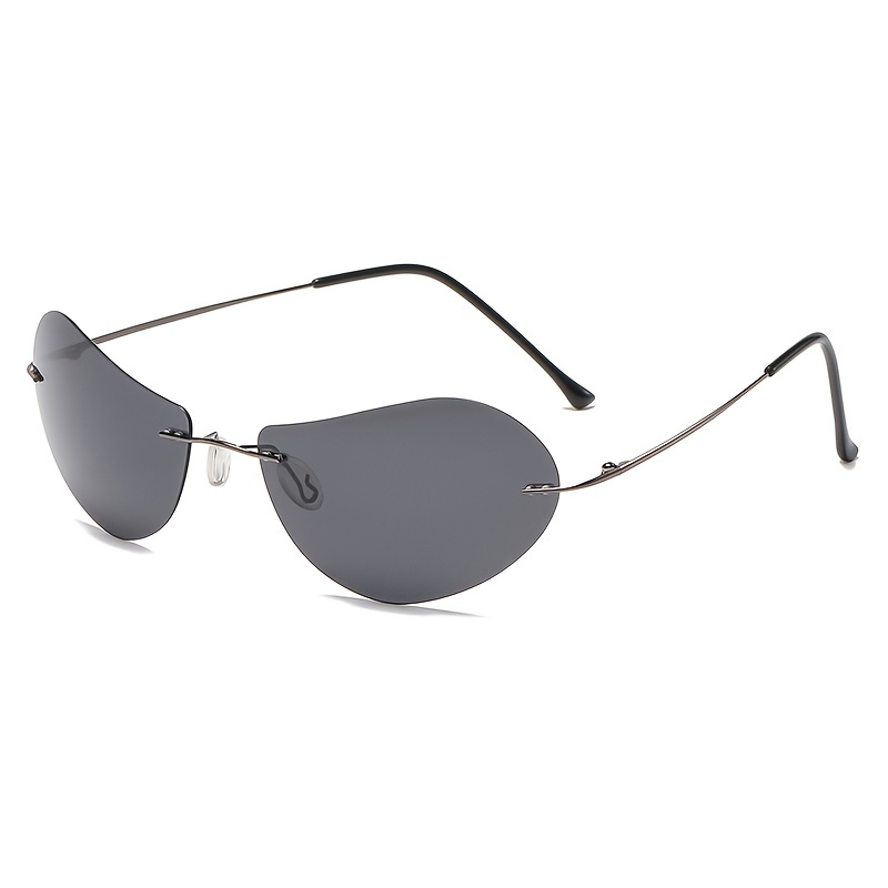 Black Titanium Sunglasses