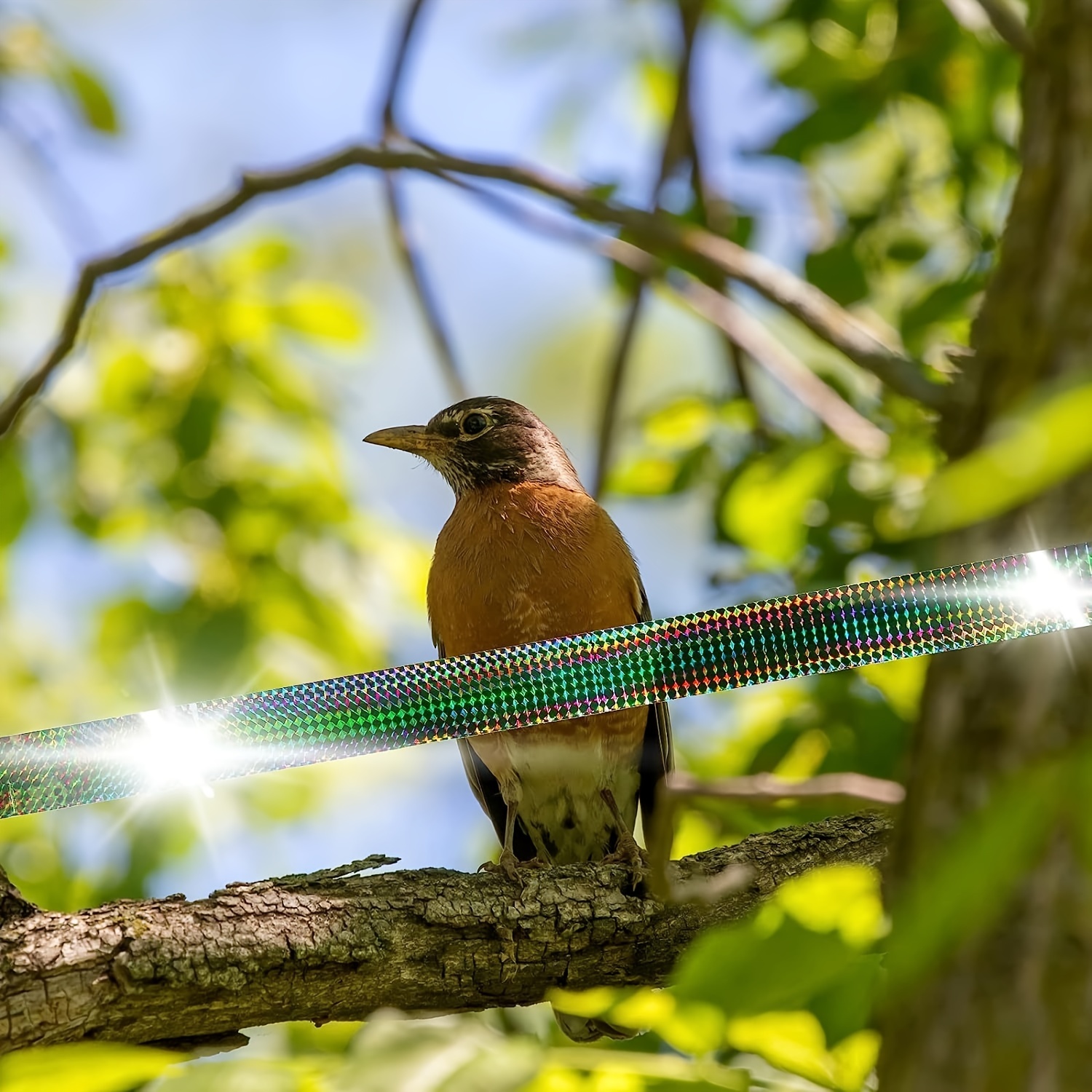 Bird B Gone Holographic Flash Tape