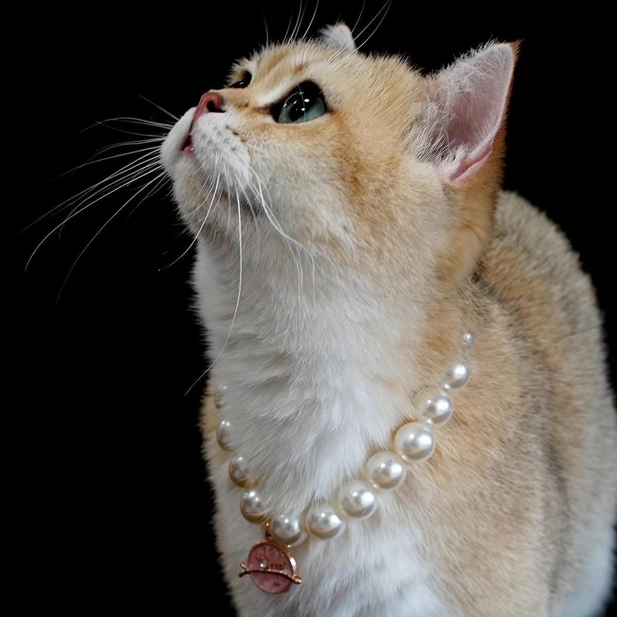 Pearl Cat Collar Adjustable Cat Necklace With Cute Pattern Beaded