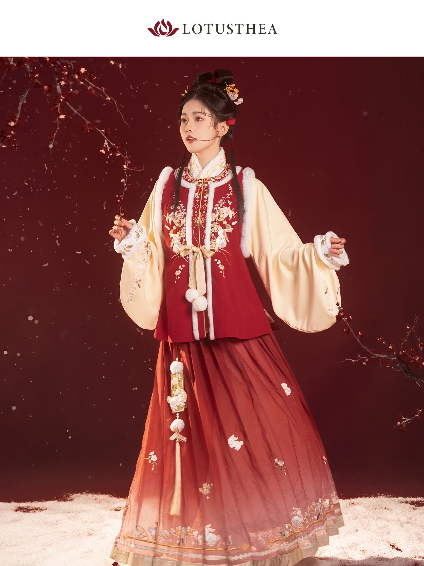 Bijia Top Pleated Skirt Hanfu Set Chinese New Year Hanfu Ancient