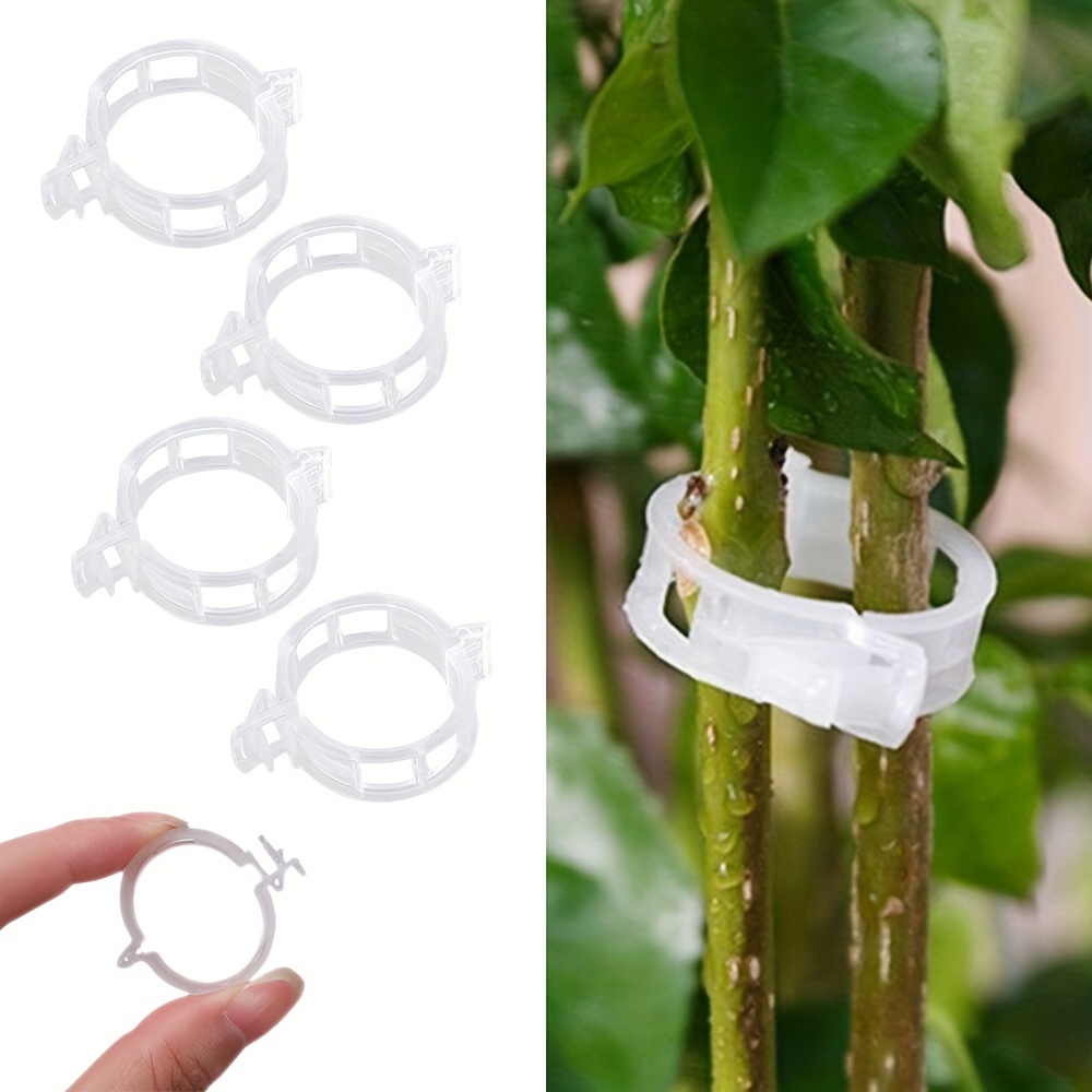 Tomato Clips Plastic Trellis Clips Plant Support Clips Grape - Temu New ...