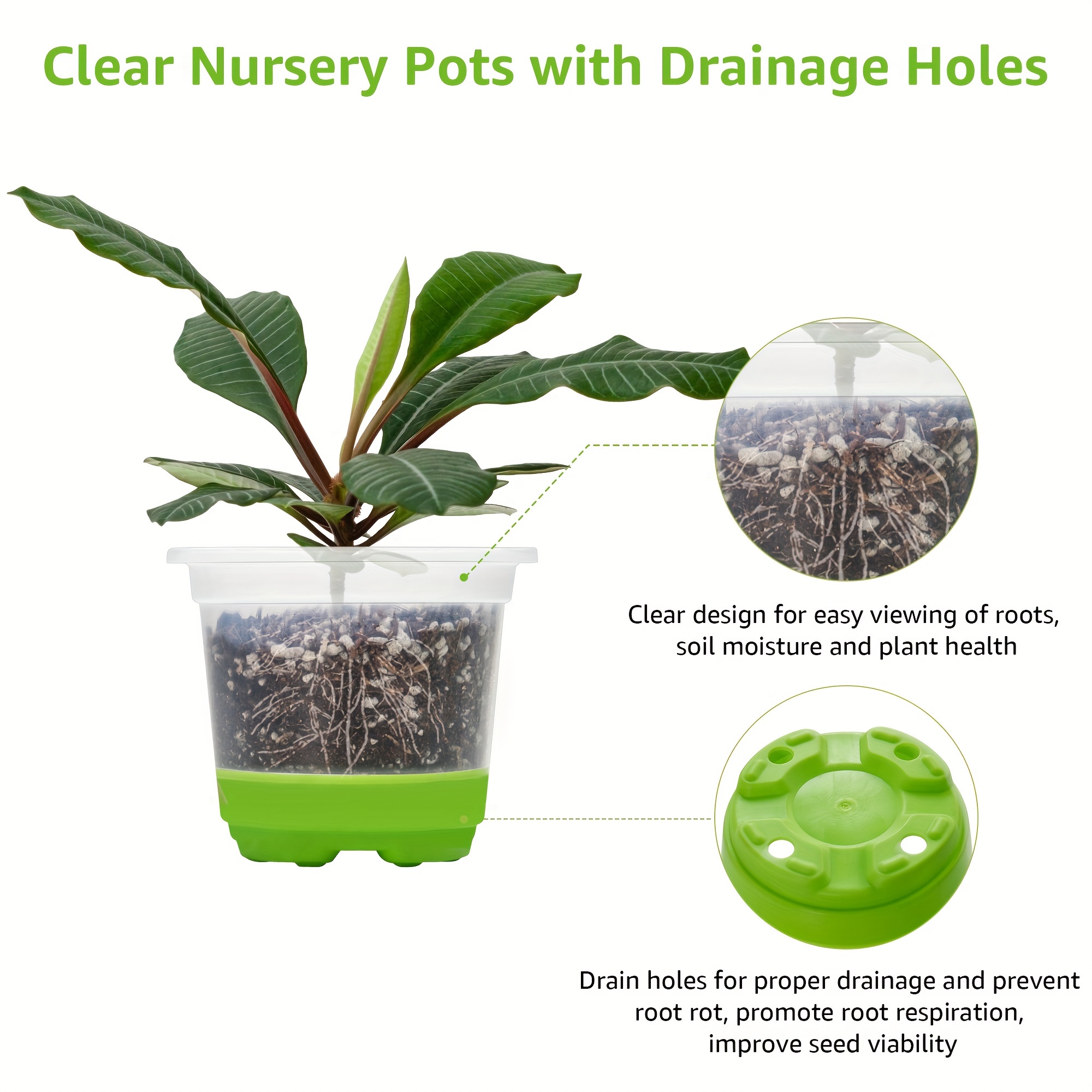 6-Inch Transparent Plastic Planter Plant Nursery Pots with Drainage Hole  Indoor