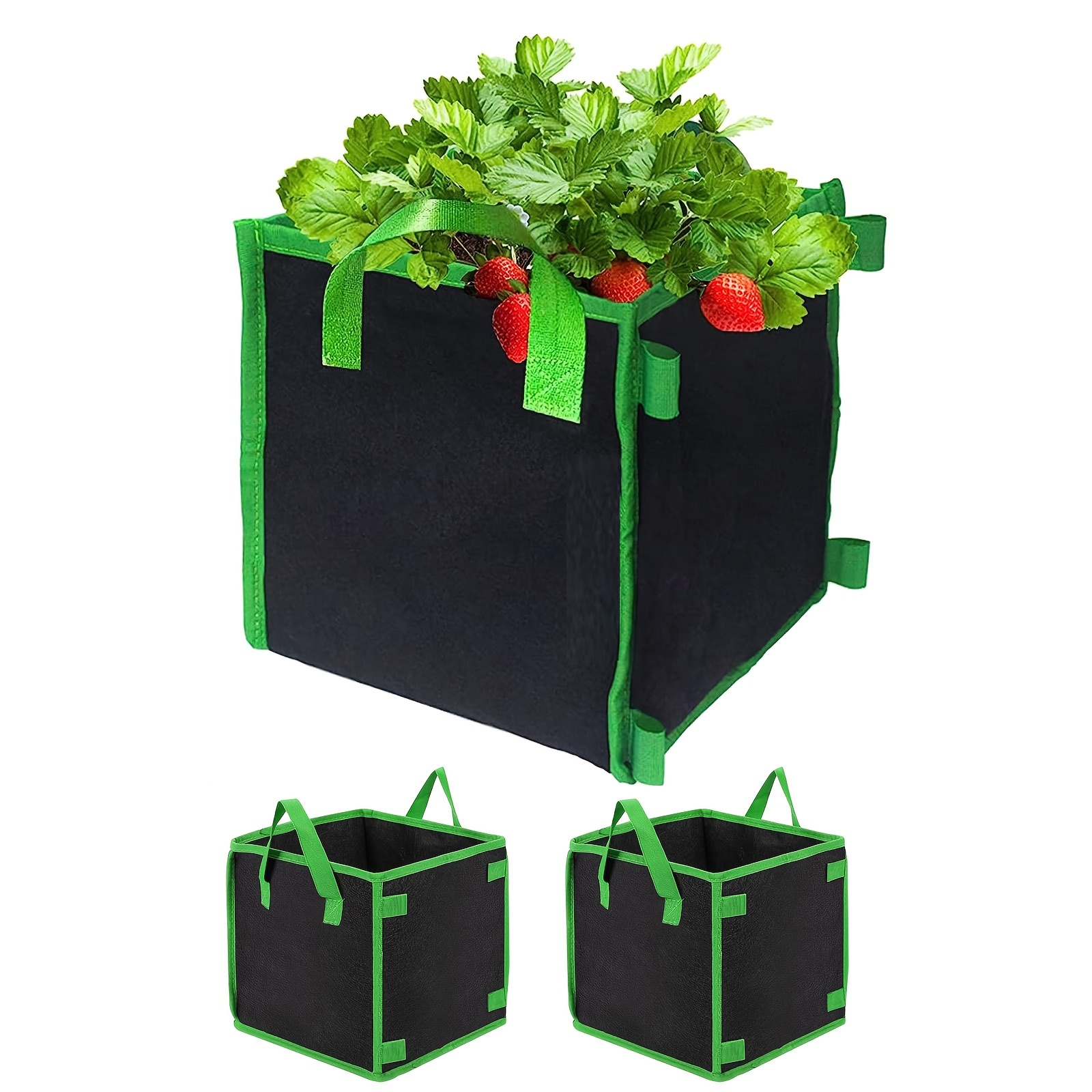 Potato Grow Bags, Garden Planting Growing Bag With Flap, Double Layer  Breathable Non-woven Cloth For Potatoes Planter Vegetable Tomato Mushrooms  Fabric Pots With Handles, Green, 7 Gallon / 10 Gallon - Temu