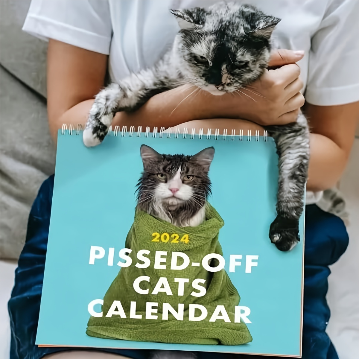 1pc Calendrier Angry Cat 2024 Calendrier De Balle De Chat De - Temu Canada