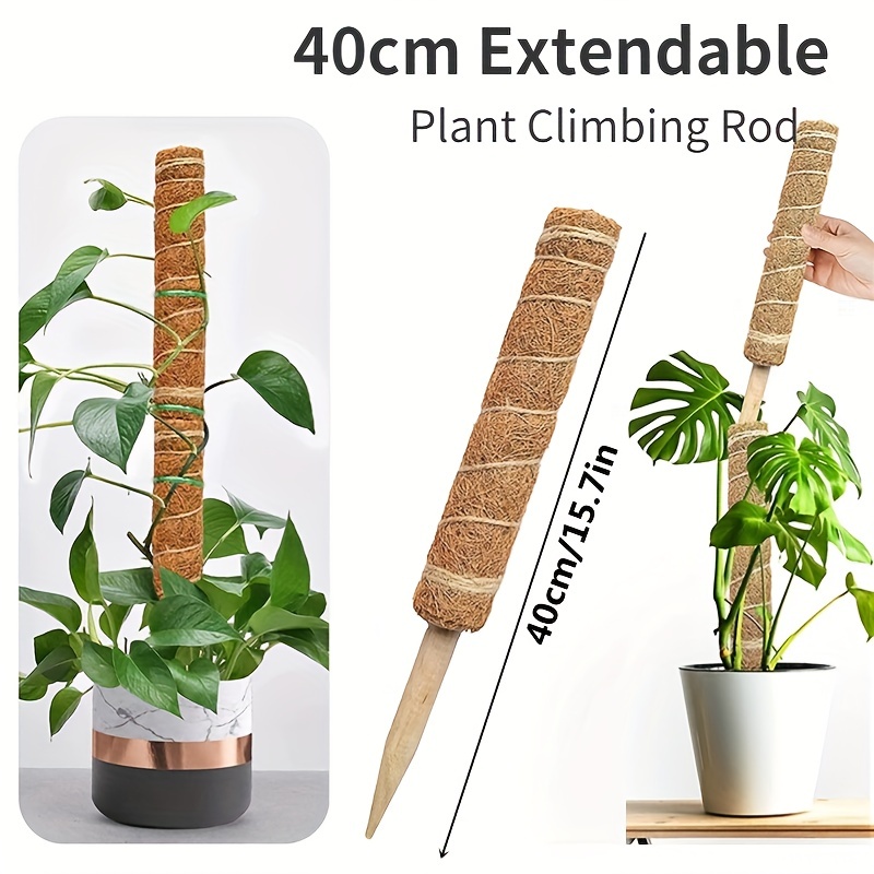 Plant Moss Coir Pole Bendable Plants Monstera Climbing - Temu United ...