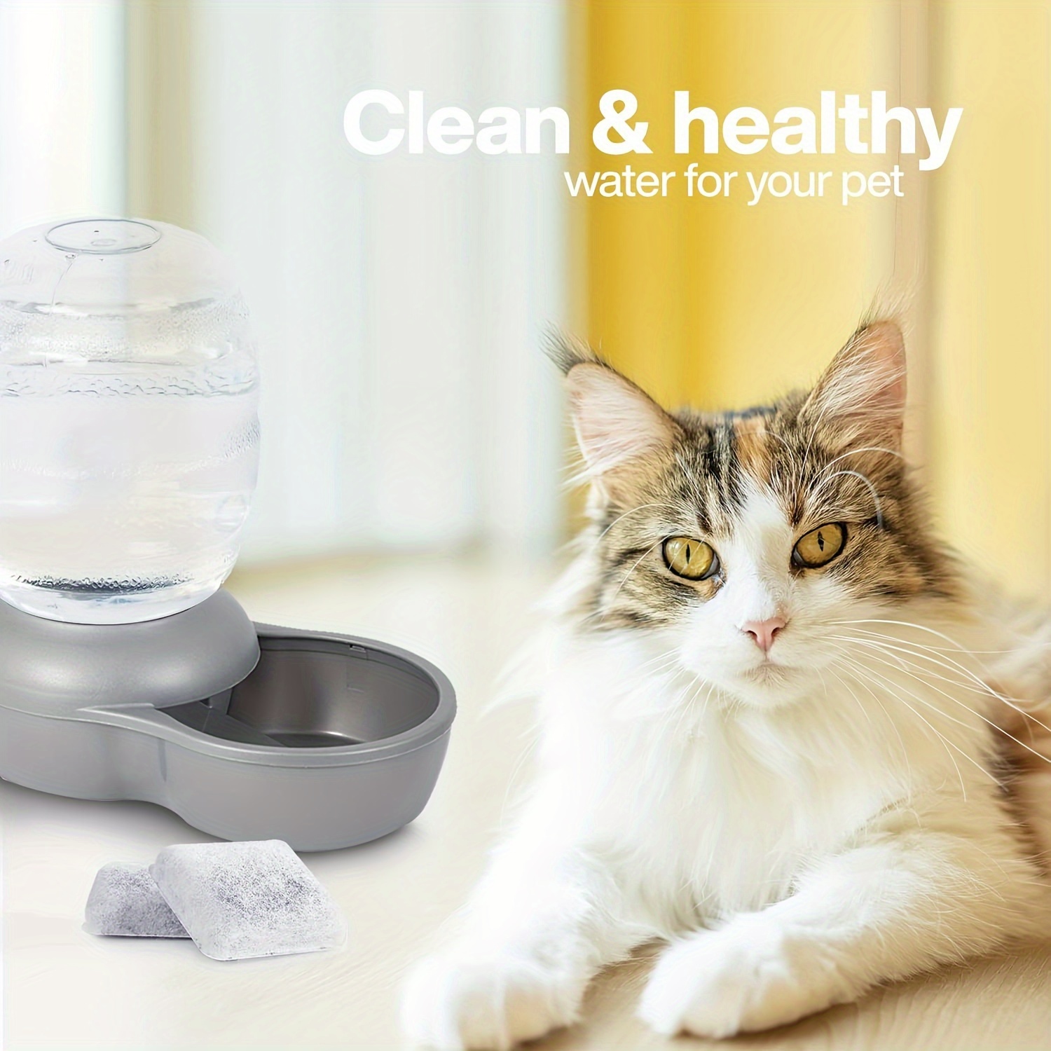 Petmate cat outlet water fountain