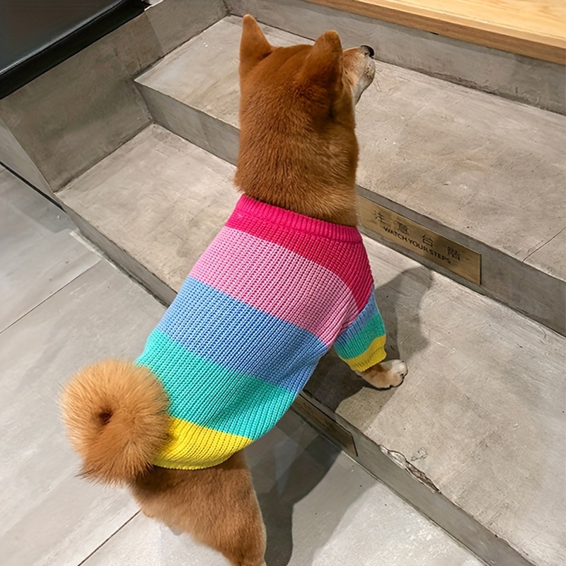 Rainbow store dog sweater