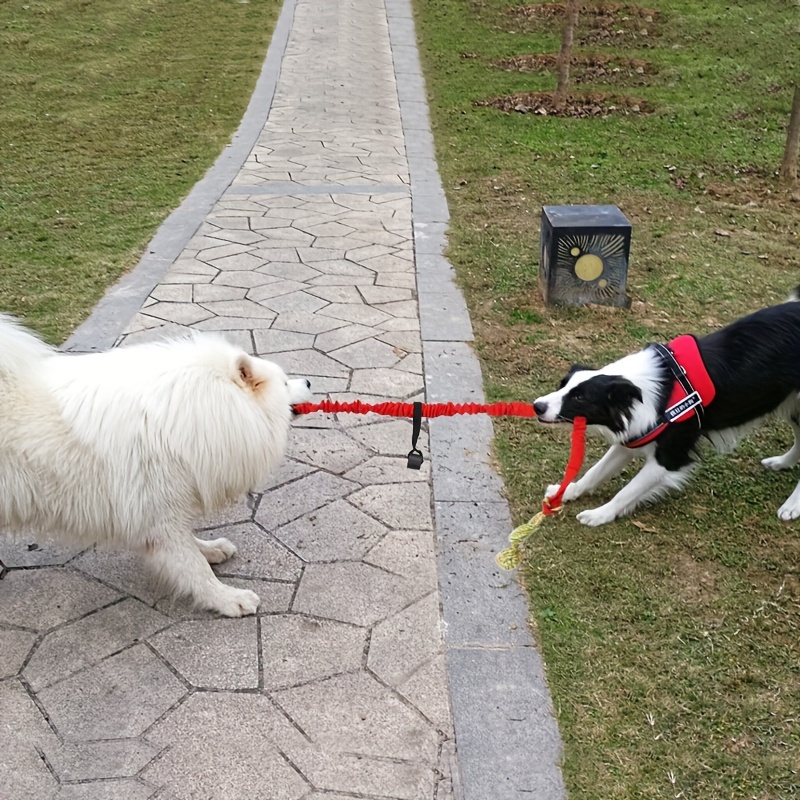 HGKL Juguetes para perros, juguetes interactivos para perros con cuerdas  para masticar, juguetes de tira y afloja para perros pequeños y medianos,  da