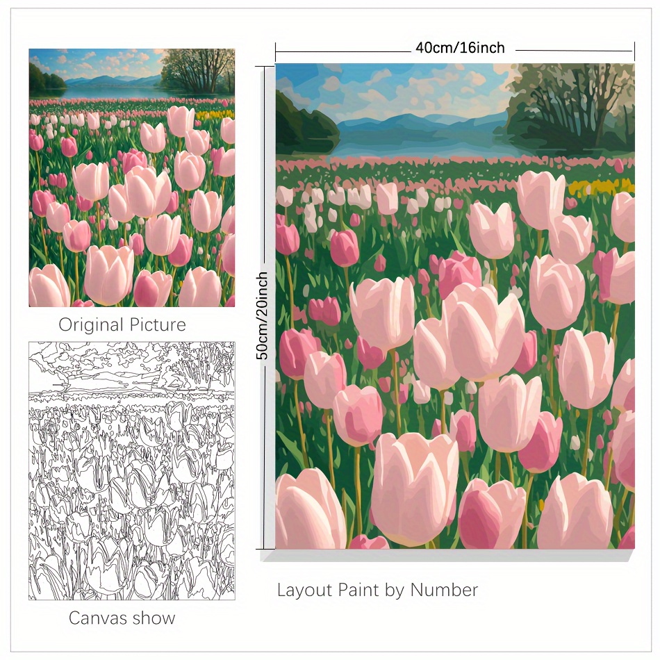 Paint by Numbers Tulips Colorful [Wooden Framed] 16x20 Inch DIY Oil  Painting Canvas Kit with Brushes for Adults and Beginner Kids - Yellow and  Purple Tulips Flowers